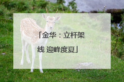 金华：立杆架线 迎峰度夏