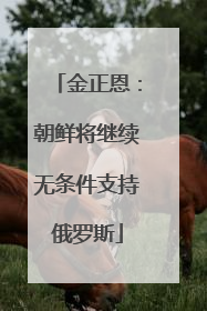 金正恩：朝鲜将继续无条件支持俄罗斯