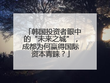 韩国投资者眼中的“未来之城”，成都为何赢得国际资本青睐？