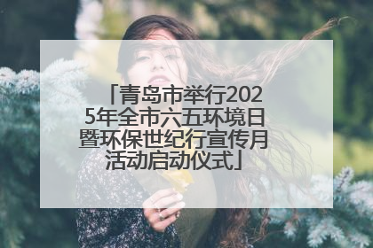 青岛市举行2025年全市六五环境日暨环保世纪行宣传月活动启动仪式