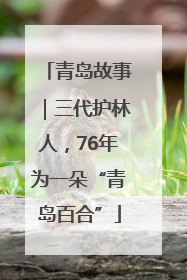 青岛故事｜三代护林人，76年为一朵“青岛百合”
