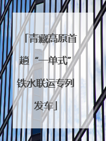 青藏高原首趟“一单式”铁水联运专列发车
