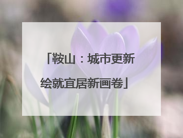 鞍山：城市更新绘就宜居新画卷