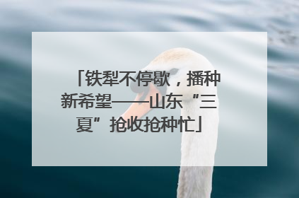 铁犁不停歇，播种新希望——山东“三夏”抢收抢种忙