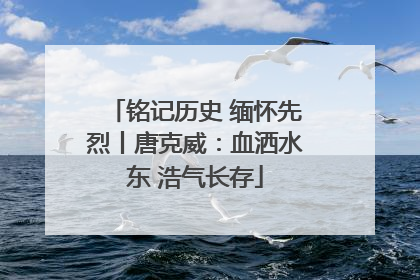 铭记历史 缅怀先烈丨唐克威：血洒水东 浩气长存