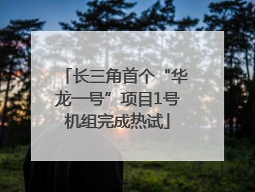 长三角首个“华龙一号”项目1号机组完成热试