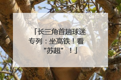 长三角首趟球迷专列：坐高铁！看“苏超”！