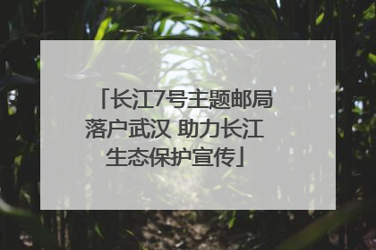 长江7号主题邮局落户武汉 助力长江生态保护宣传