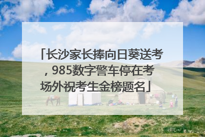 长沙家长捧向日葵送考，985数字警车停在考场外祝考生金榜题名