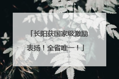 长阳获国家级激励表扬！全省唯一！