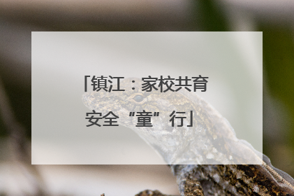 镇江：家校共育 安全“童”行
