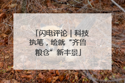 闪电评论｜科技执笔，绘就“齐鲁粮仓”新丰景