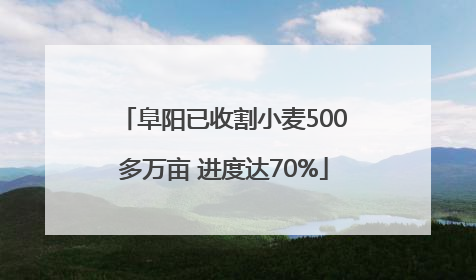 阜阳已收割小麦500多万亩 进度达70%