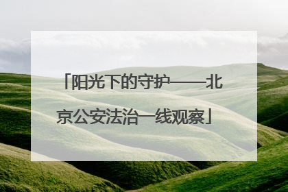 阳光下的守护——北京公安法治一线观察