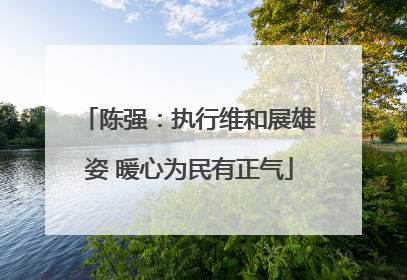 陈强：执行维和展雄姿 暖心为民有正气
