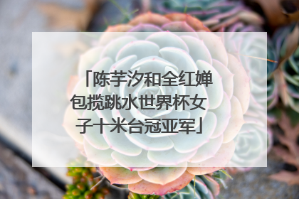 陈芋汐和全红婵包揽跳水世界杯女子十米台冠亚军