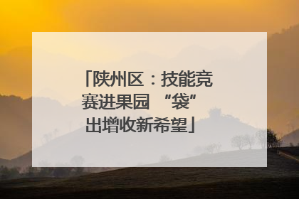 陕州区：技能竞赛进果园 “袋”出增收新希望