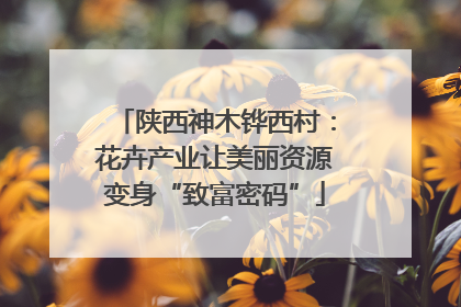 陕西神木铧西村：花卉产业让美丽资源变身“致富密码”