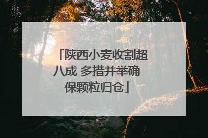 陕西小麦收割超八成 多措并举确保颗粒归仓