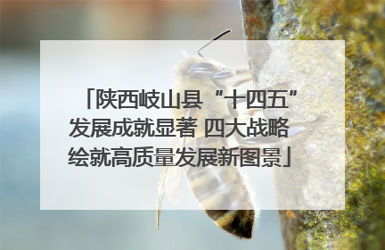 陕西岐山县“十四五”发展成就显著 四大战略绘就高质量发展新图景