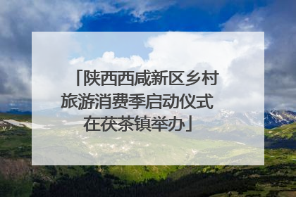 陕西西咸新区乡村旅游消费季启动仪式在茯茶镇举办