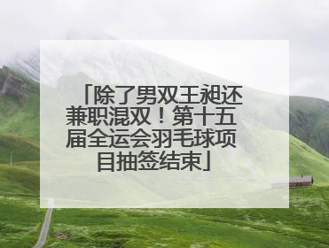 除了男双王昶还兼职混双！第十五届全运会羽毛球项目抽签结束