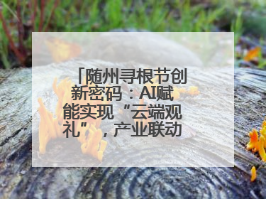 随州寻根节创新密码：AI赋能实现“云端观礼”，产业联动助推经济发展