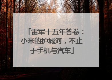 雷军十五年答卷：小米的护城河，不止于手机与汽车