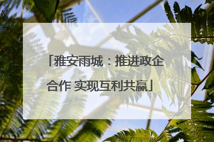 雅安雨城：推进政企合作 实现互利共赢