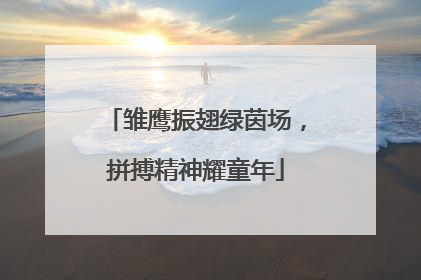 雏鹰振翅绿茵场，拼搏精神耀童年