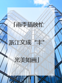 雨季插秧忙 浙江文成“丰”光美如画
