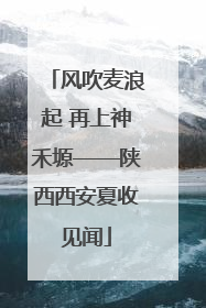 风吹麦浪起 再上神禾塬——陕西西安夏收见闻