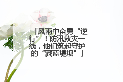 风雨中奋勇“逆行”！防汛救灾一线，他们筑起守护的“藏蓝堤坝”