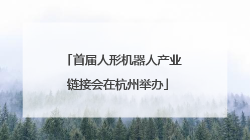 首届人形机器人产业链接会在杭州举办