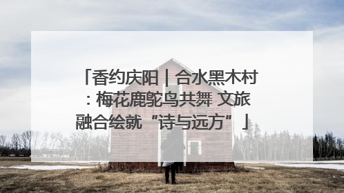 香约庆阳｜合水黑木村：梅花鹿鸵鸟共舞 文旅融合绘就“诗与远方”