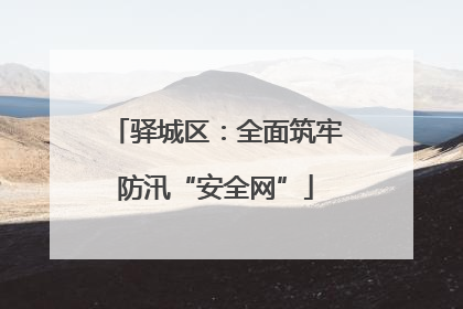 驿城区：全面筑牢防汛“安全网”