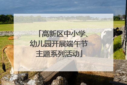 高新区中小学、幼儿园开展端午节主题系列活动