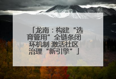 龙南：构建“选育管用”全链条闭环机制 激活社区治理“新引擎”