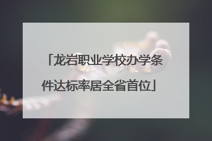 龙岩职业学校办学条件达标率居全省首位