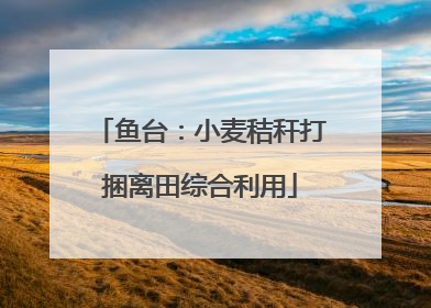 鱼台：小麦秸秆打捆离田综合利用