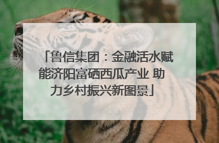 鲁信集团：金融活水赋能济阳富硒西瓜产业 助力乡村振兴新图景