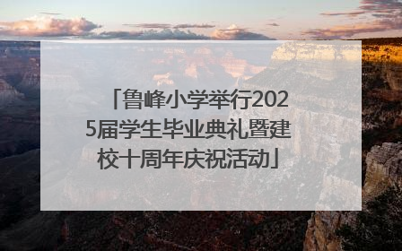 鲁峰小学举行2025届学生毕业典礼暨建校十周年庆祝活动