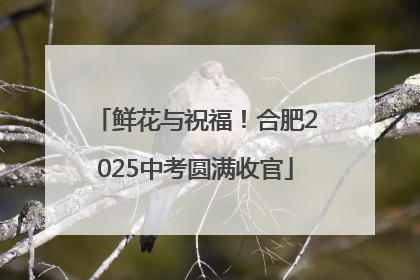 鲜花与祝福！合肥2025中考圆满收官