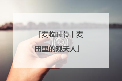 麦收时节丨麦田里的观天人