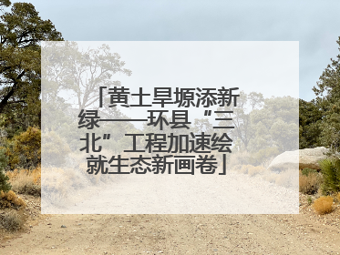 黄土旱塬添新绿——环县“三北”工程加速绘就生态新画卷
