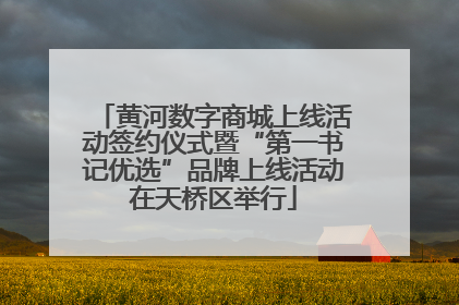 黄河数字商城上线活动签约仪式暨“第一书记优选”品牌上线活动在天桥区举行