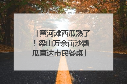 黄河滩西瓜熟了！梁山万余亩沙瓤瓜直达市民餐桌