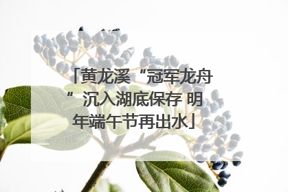 黄龙溪“冠军龙舟”沉入湖底保存 明年端午节再出水