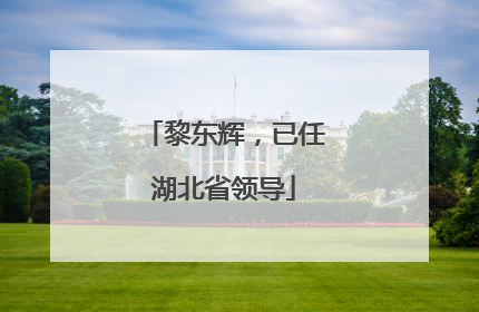 黎东辉，已任湖北省领导