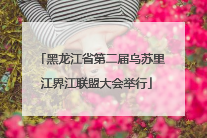 黑龙江省第二届乌苏里江界江联盟大会举行